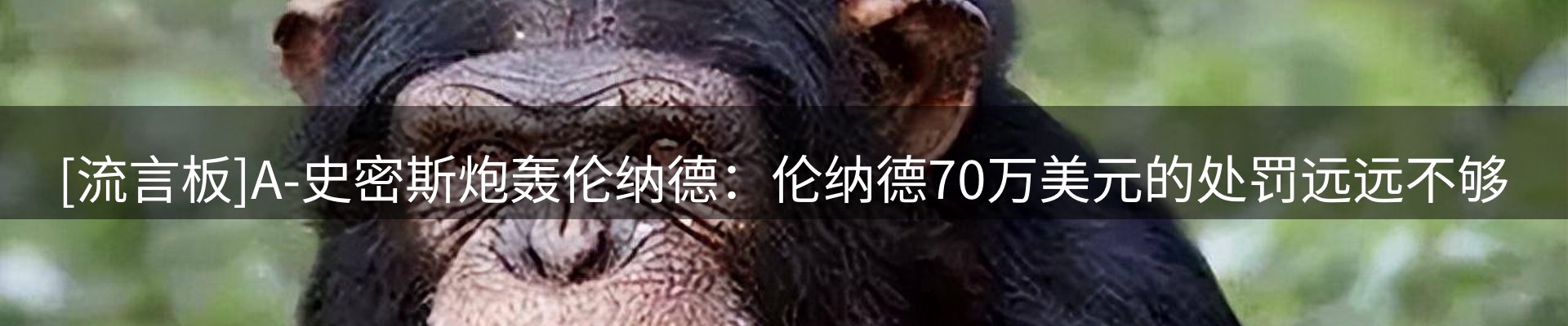 新闻解读